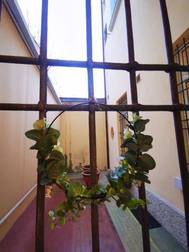 Gombruti14 Boutique Home, Boloňa (fotografie 10)