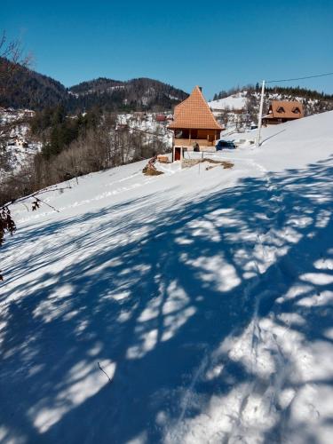 Zaovinska Panorama I