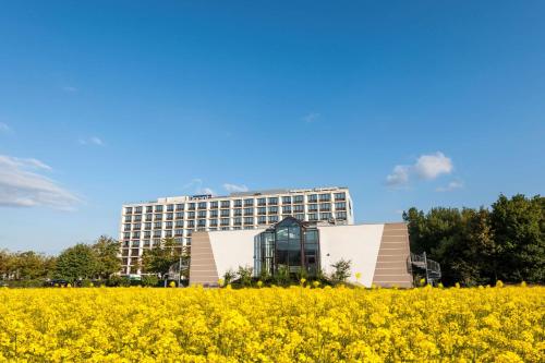 Dorint Main Taunus Zentrum Frankfurt Sulzbach Dorint Main Taunus Zentrum Frankfurt Sulzbach
