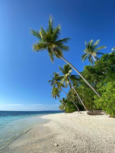 Alentours, Gibran Dive Guest House in Kri