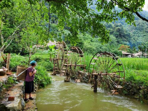 Pu Luong Thai House - Tai Dam Homestay