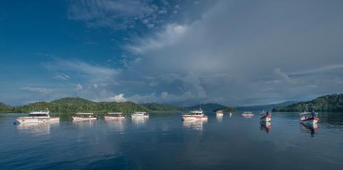 Papua Paradise Eco Resort