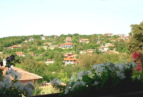 Hotel Izvora - image 3