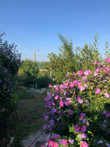 Gîte de La Tronchoyse entre vins et nature