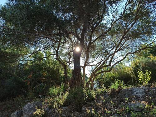  Blue & Green Apartments , Dassia - Corfu 3&4 in Dassia