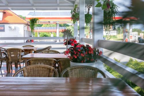 Noclegi Grill Solo - image 6