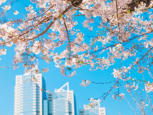 Park Hyatt Tokyo