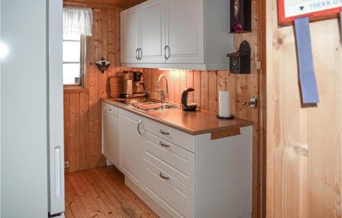 Küche, Awesome Home In Ustaoset With Wifi in Ustaoset