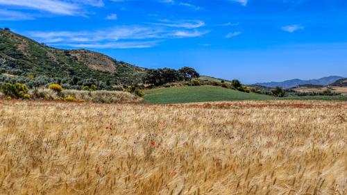 Almendros Antequera - Los Nogales by Ruralidays