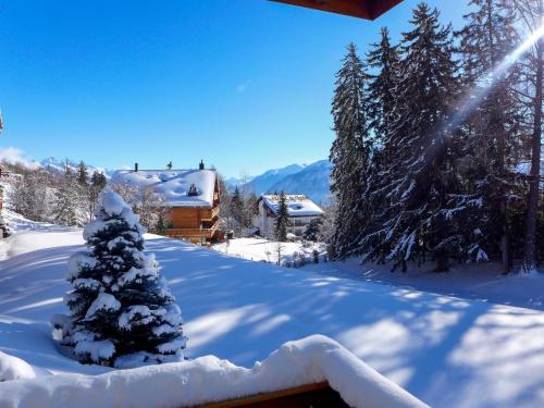 Apartment Les Pierres C by Interhome Crans Montana