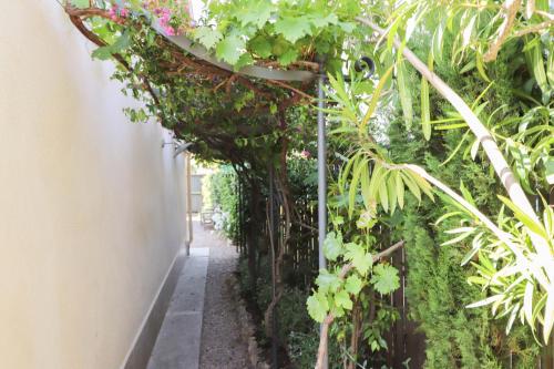 COTTAGE Lovely outdoors areas at 200m from beach of Juan