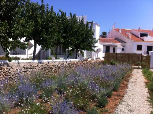 Hostal La Palma - image 5