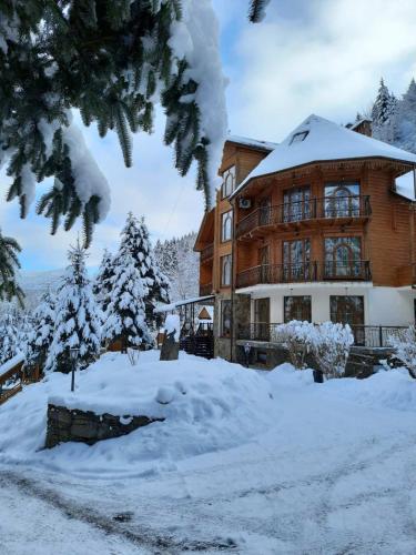 المنظر الخارجي, Hotel Dykyi Med in Selo Tatariv