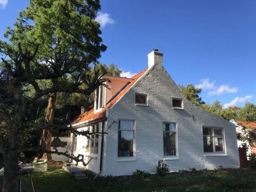  Vogelvrij in Vierhuizen