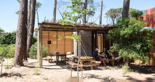 Rizoma in Jose Ignacio
