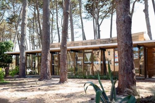 Rizoma in Jose Ignacio