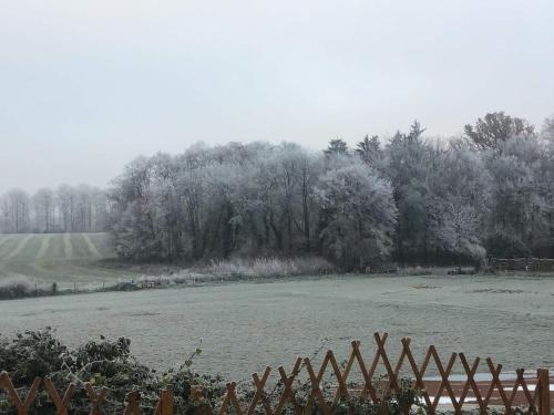 L'appel de la foret