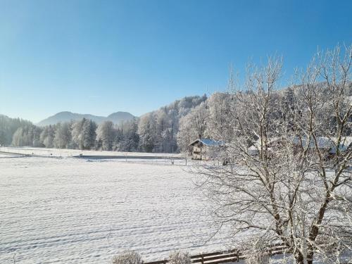 Ferienwohnungen am Alpenrand - Apartment - Siegsdorf