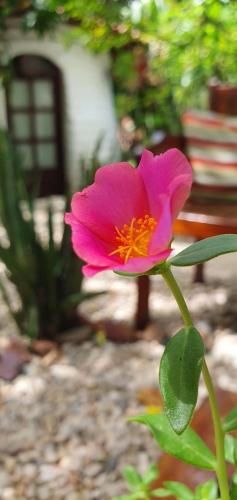 Pousada JeriMagia – Jijoca de Jericoacoara, IL