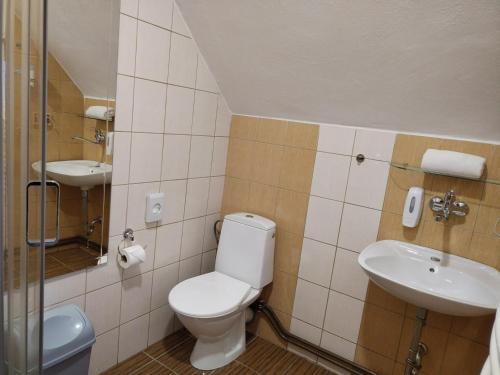 Hotel Boršičanka - image 8