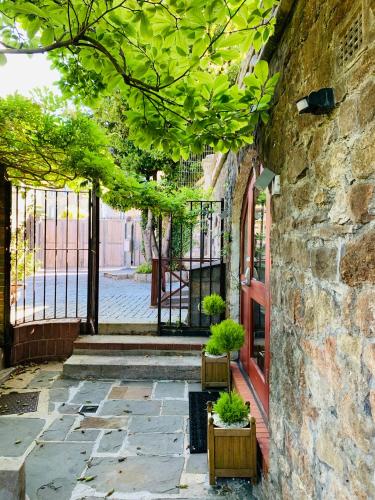 Ferndale Mews - image 21