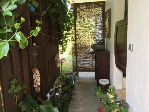 周辺案内, Pension Te Aroha - Te Rai in マアタ