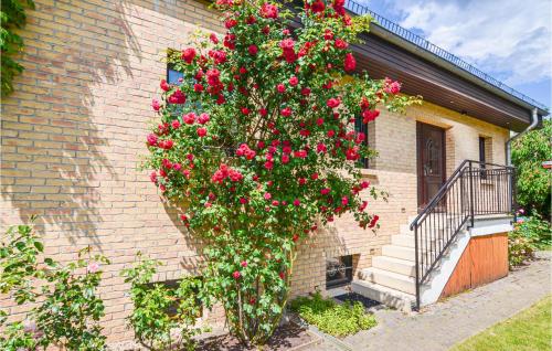 Amazing apartment in Berlin-Bohnsdorf w/ Sauna WiFi and 1 Bedrooms - image 7
