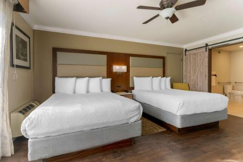3 queen beds