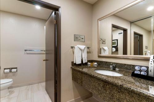 Best Western Plus Forest Park Inn - image 14