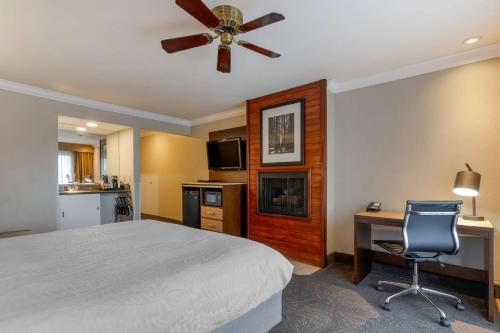 Best Western Plus Forest Park Inn - image 12