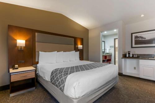 Best Western Plus Forest Park Inn Room Type - Executive King Room - Disability Access
