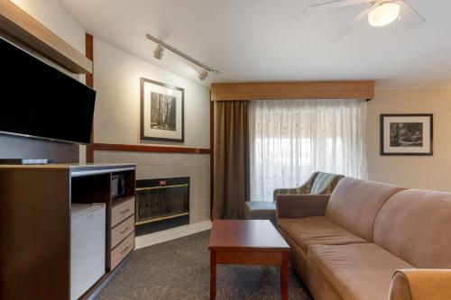 Best Western Plus Forest Park Inn - image 12