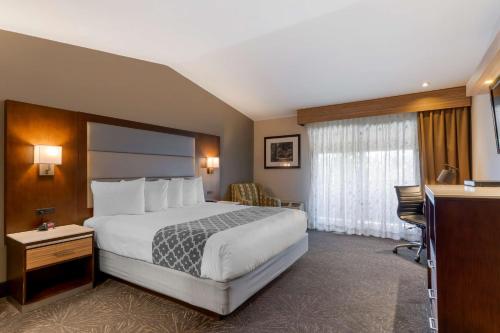 Best Western Plus Forest Park Inn - image 9