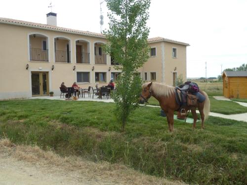 Bejárat, Hostal Moratinos in Moratinos