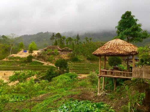 Trà Hills Homestay (Tra Hills Homestay) in Bac ha