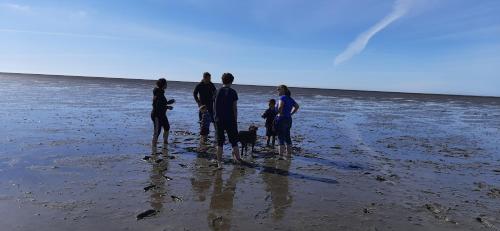 Ferienwohnungen Buschsand 15 Friedrichskoog-Spitze