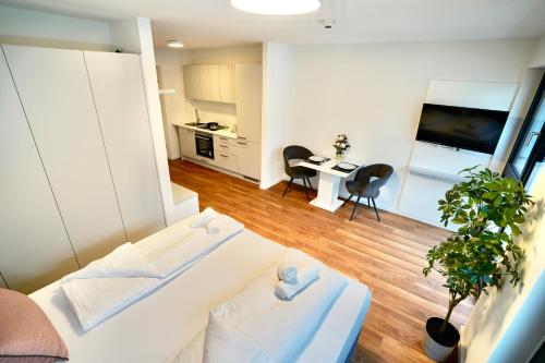 DM & S Apartment Room Type - Studio Apartment
