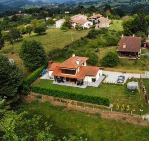 EL ABEDUL in Pilona
