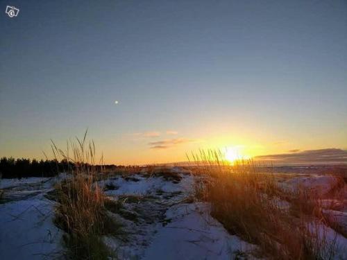 Rantasumppu 14, Hailuoto (foto 4)