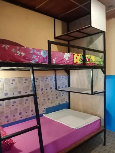Salty Dog Hostel in Teluk Dalam