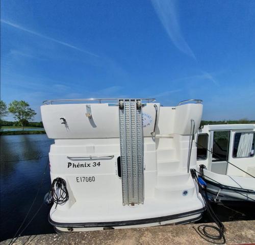 Magnifique bateau au coeur du Nivernais à l'étang de BAYE