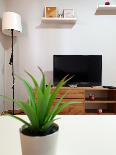 . Fenix Apartman