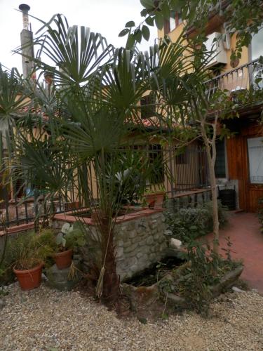 Agriturismo Le Macine - image 14