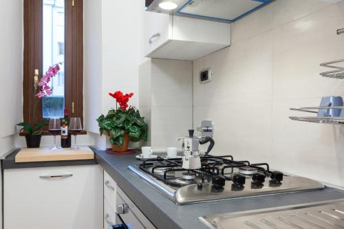 Vatican Loris House - image 9