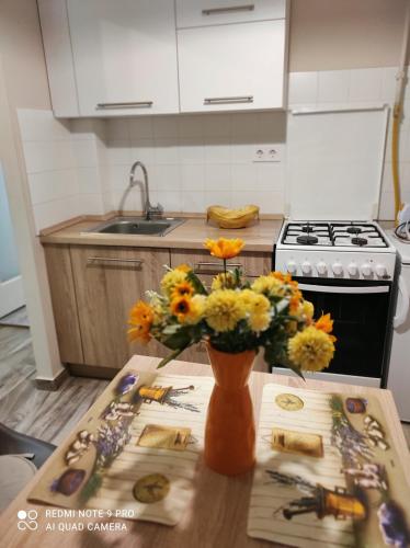 Baross apartman in Kaposvar