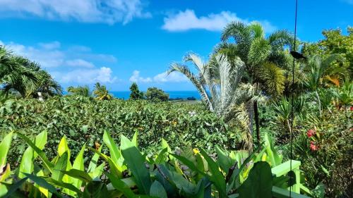 Gwadakaz in Sainte Rose