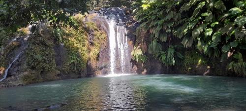 Gwadakaz in Sainte Rose