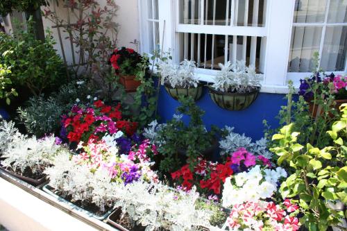 Philbeach Guest House - image 2