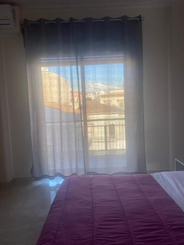 PAPALi 289