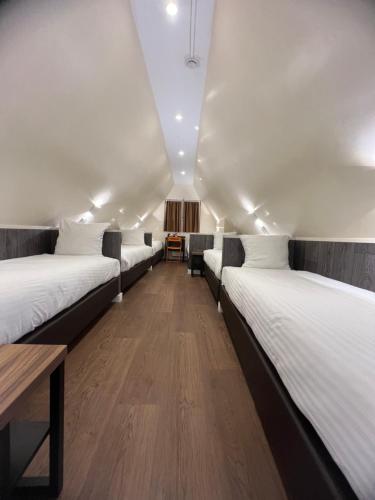 Shared room, mixed dormitory, 6 guests